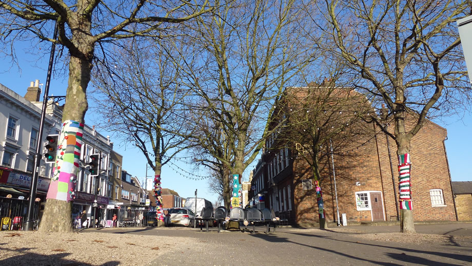 Trees Wrapped for Christmas in Hoddesdon