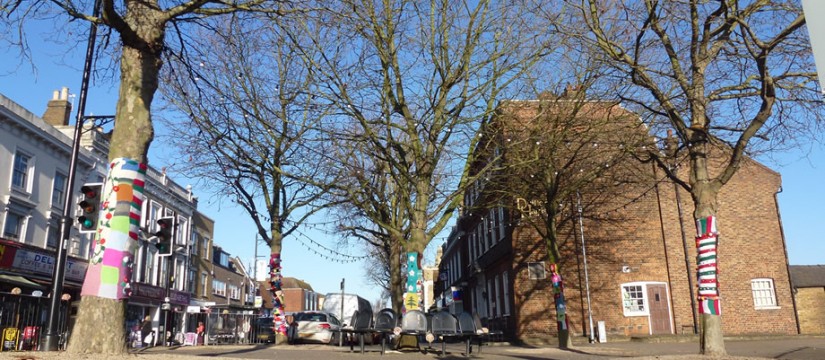 Trees Wrapped for Christmas in Hoddesdon